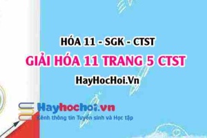 Giải Hóa 11 trang 5 Chân trời sáng tạo